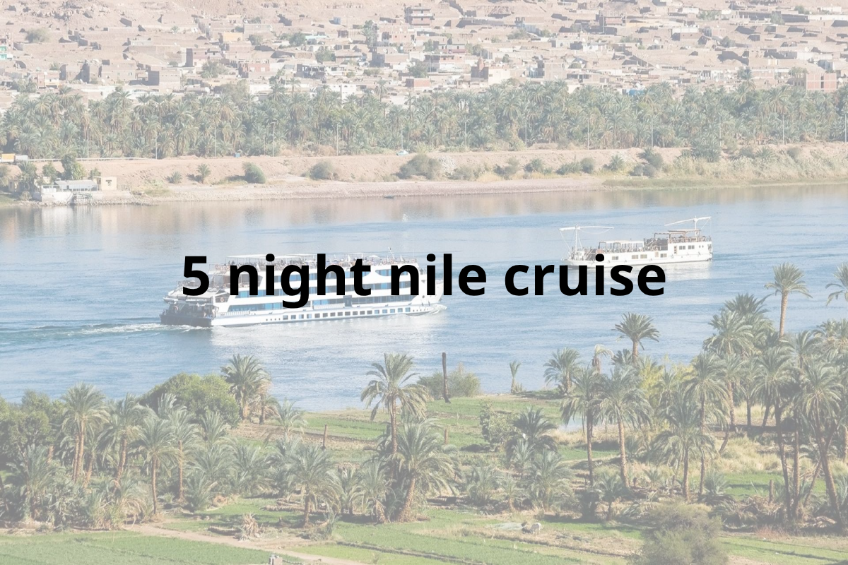 5 night nile cruise
